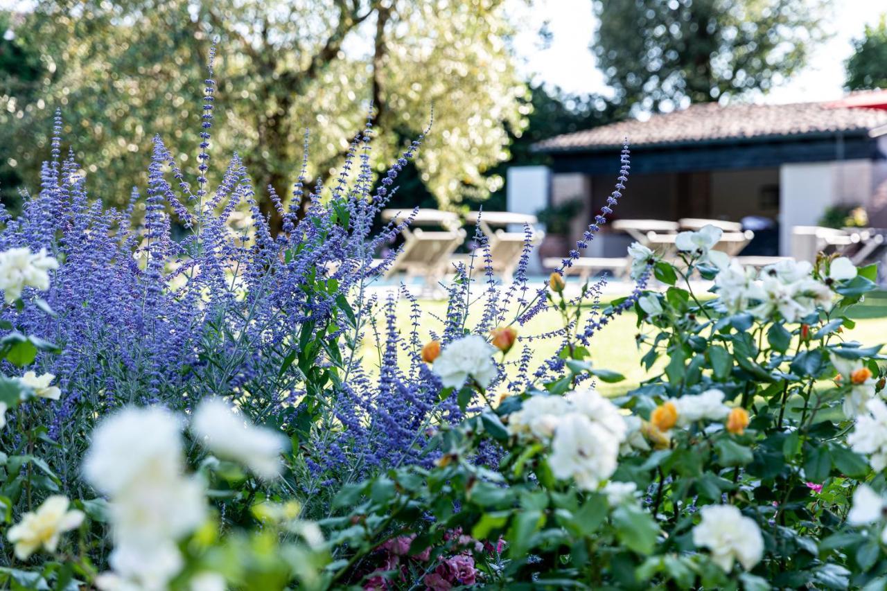 Il Mulino Relais Piacenza Hotel Bagian luar foto